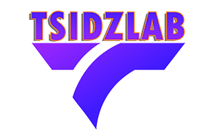 TSIDZLAB LLC